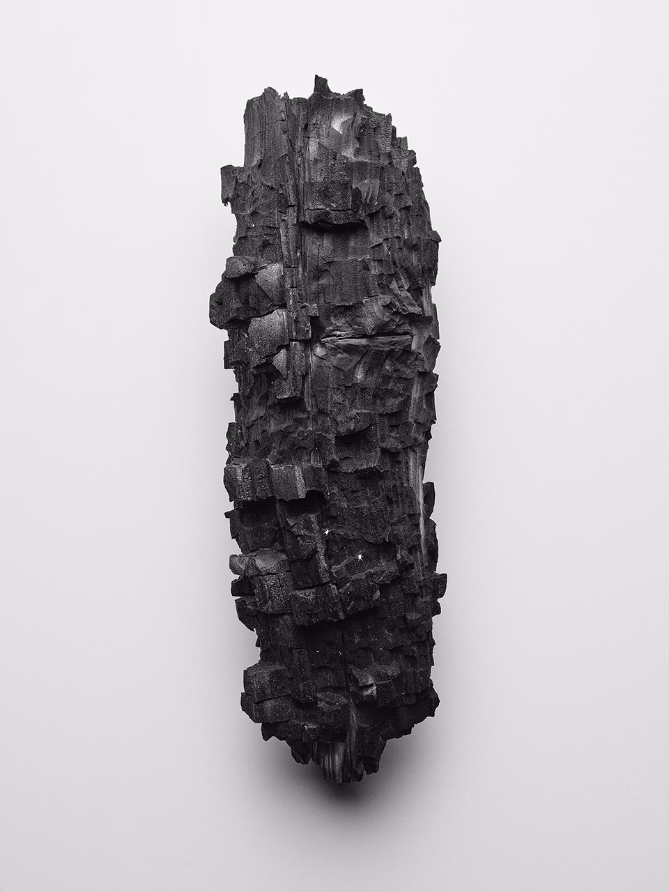 Still life of charred wood fragment with deep layered texture