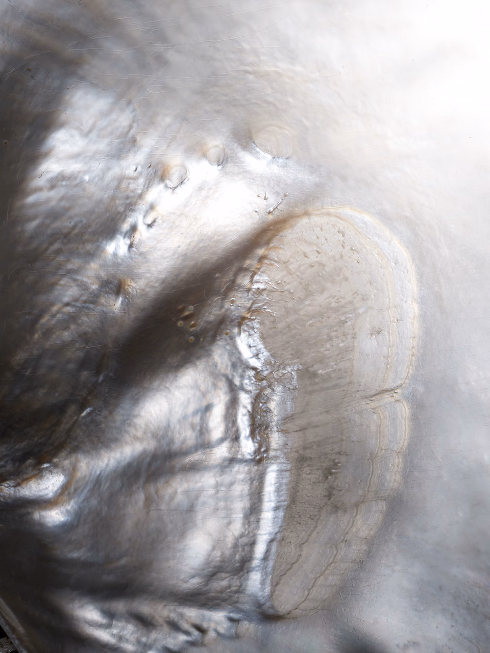 macro photography material light texture translucent surface detail