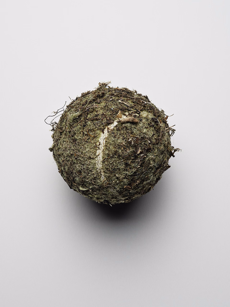 Still life of organic spherical object with moss and rough surface