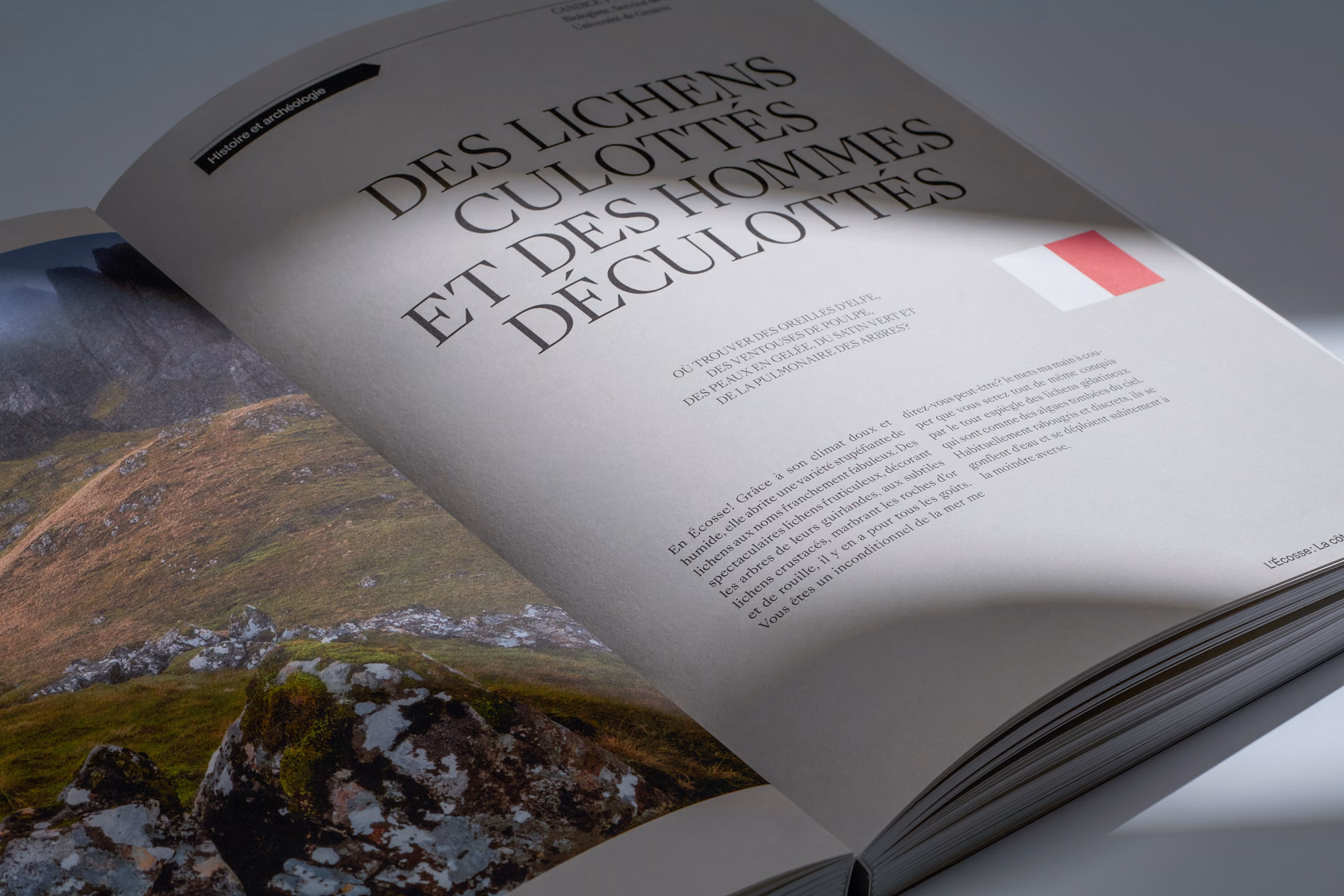 open book spread with landscape photography and structured editorial layout